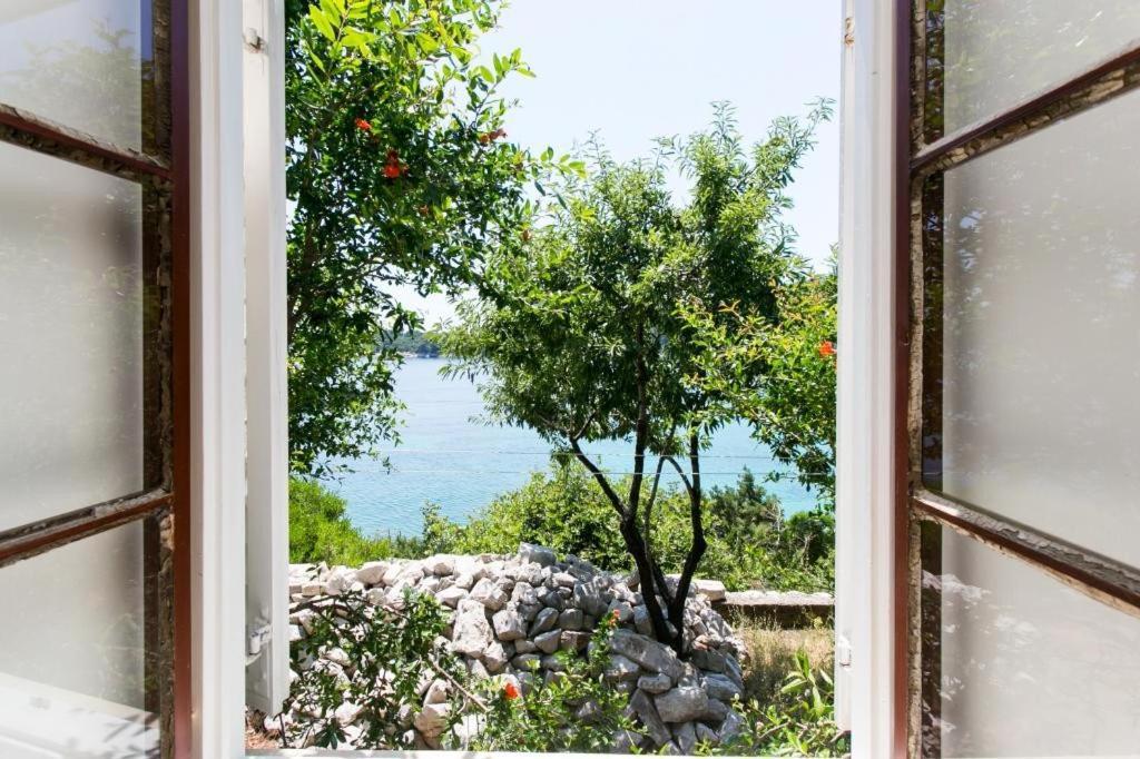 Guest House Simunovic Sudurad Εξωτερικό φωτογραφία