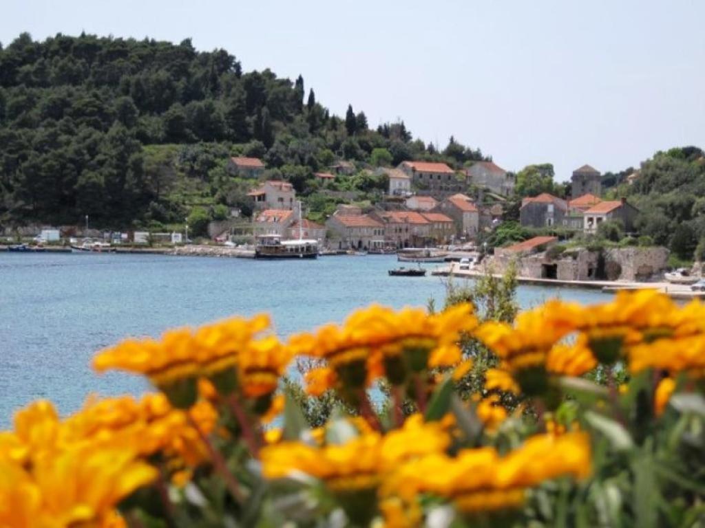 Guest House Simunovic Sudurad Εξωτερικό φωτογραφία